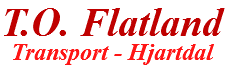 T. O. Flatland logo